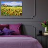 Obraz - Słonecznikowe wzgórze 2 Obraz z motywem słoneczników do poczekalni